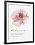 Bloom - Patience-Sandra Jacobs-Framed Giclee Print