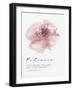 Bloom - Patience-Sandra Jacobs-Framed Giclee Print