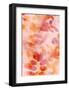 Bloom Rose-Morioke-Framed Art Print