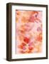 Bloom Rose-Morioke-Framed Art Print