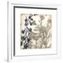 Bloom Shadows I-Megan Meagher-Framed Art Print
