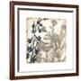 Bloom Shadows I-Megan Meagher-Framed Art Print