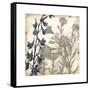 Bloom Shadows I-Megan Meagher-Framed Stretched Canvas