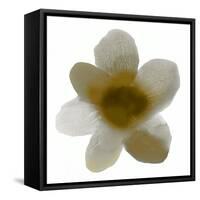 Bloom Taupe I-Hannah Carlson-Framed Stretched Canvas