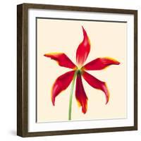 Bloom V-Max Carter-Framed Giclee Print