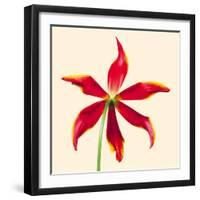 Bloom V-Max Carter-Framed Giclee Print