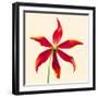 Bloom V-Max Carter-Framed Giclee Print