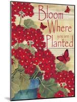 Bloom Where You are Planted-Laurie Korsgaden-Mounted Giclee Print