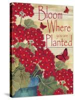 Bloom Where You are Planted-Laurie Korsgaden-Stretched Canvas