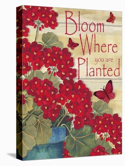 Bloom Where You are Planted-Laurie Korsgaden-Stretched Canvas