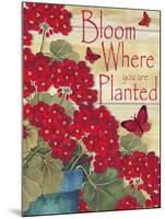 Bloom Where You are Planted-Laurie Korsgaden-Mounted Premium Giclee Print