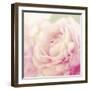 Bloom-Shana Rae-Framed Giclee Print