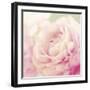 Bloom-Shana Rae-Framed Giclee Print