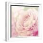 Bloom-Shana Rae-Framed Giclee Print