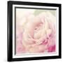 Bloom-Shana Rae-Framed Giclee Print