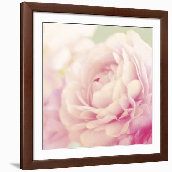 Bloom-Shana Rae-Framed Giclee Print