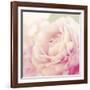 Bloom-Shana Rae-Framed Giclee Print