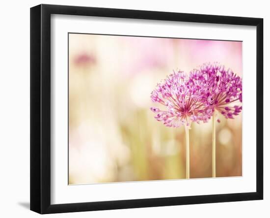 Bloom-Carolyn Cochrane-Framed Photographic Print