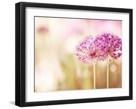 Bloom-Carolyn Cochrane-Framed Photographic Print