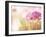 Bloom-Carolyn Cochrane-Framed Photographic Print