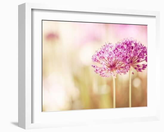 Bloom-Carolyn Cochrane-Framed Photographic Print