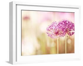 Bloom-Carolyn Cochrane-Framed Photographic Print