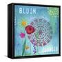 Bloom-Fiona Stokes-Gilbert-Framed Stretched Canvas