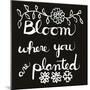 Bloom-Blenda Tyvoll-Mounted Giclee Print