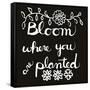 Bloom-Blenda Tyvoll-Framed Stretched Canvas