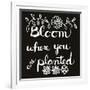 Bloom-Blenda Tyvoll-Framed Giclee Print