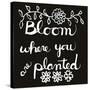 Bloom-Blenda Tyvoll-Stretched Canvas