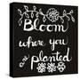 Bloom-Blenda Tyvoll-Stretched Canvas