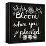 Bloom-Blenda Tyvoll-Framed Stretched Canvas