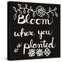 Bloom-Blenda Tyvoll-Stretched Canvas