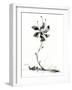 Bloom-null-Framed Giclee Print