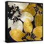 Bloomer Tile IX-James Burghardt-Framed Stretched Canvas