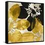 Bloomer Tiles X-James Burghardt-Framed Stretched Canvas