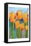 Blooming Abstracts-Marcus Prime-Framed Stretched Canvas