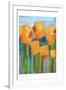 Blooming Abstracts-Marcus Prime-Framed Art Print