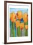 Blooming Abstracts-Marcus Prime-Framed Art Print