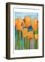 Blooming Abstracts-Marcus Prime-Framed Art Print