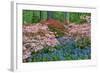 Blooming Azaleas and Bluebell Flowers, Winterthur Gardens, Delaware, USA-null-Framed Photographic Print