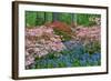 Blooming Azaleas and Bluebell Flowers, Winterthur Gardens, Delaware, USA-null-Framed Photographic Print