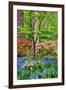 Blooming Azaleas and Bluebell Flowers, Winterthur Gardens, Delaware, USA-null-Framed Premium Photographic Print