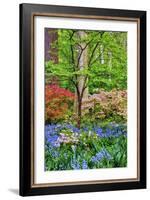 Blooming Azaleas and Bluebell Flowers, Winterthur Gardens, Delaware, USA-null-Framed Photographic Print