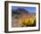 Blooming Barrel Cactus at Anza-Borrego Desert State Park, California, USA-Kymri Wilt-Framed Photographic Print