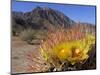 Blooming Barrel Cactus at Anza-Borrego Desert State Park, California, USA-Kymri Wilt-Mounted Photographic Print