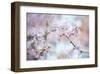 Blooming Beauty-Karin Connolly-Framed Art Print