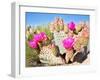 Blooming Beavertail Cactus in Mojave Desert.-Anton Foltin-Framed Photographic Print