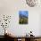 Blooming Cactus in Arizona Desert Mountains-Anna Miller-Photographic Print displayed on a wall